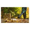 Bosch AdvancedLeafBlower 36V-750 Akumulátorový vysávač lístia (1x2Ah) 06008C6000 | ajtech.sk