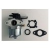 Karburátor pre motory Briggs & Stratton SERIA 700, 750 DOV | ajtech.sk