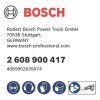 Pílový list Bosch S 1243 HM 300 mm | ajtech.sk