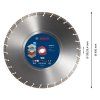 Diamantový kotúč Bosch EXPERT 450 x 25,4 mm | ajtech.sk