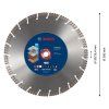 Diamantový kotúč Bosch EXPERT 300 x 20 / 25,4 mm | ajtech.sk