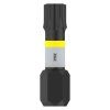 Bosch Skrutkovací bit Impact Control T30, 2 ks | ajtech.sk