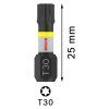 Bosch Skrutkovací bit Impact Control T30, 2 ks | ajtech.sk