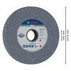 Bosch Brúsny kotúč 175x25 mm G60 | ajtech.sk