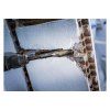 Bosch Kanálikový sekáč SDS Max Long life 300 x 32 | ajtech.sk
