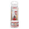 Zaobľovacia fréza Bosch EXPERT Wood R4,8 | ajtech.sk