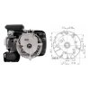Motor Zongshen XP200A 6,5 HP 01-99007 | ajtech.sk