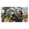 Aku nožnice Bosch Pro Pruner 2x3.0Ah | ajtech.sk