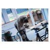 Bosch Pílový list do priamočiarych píl T 101 BIF Special for Laminate 5ks | ajtech.sk