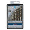 Bosch 10-dielna súprava vrtákov do kovu Robust Line HSS-Co 2607019925 | ajtech.sk