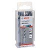 Vrták Bosch HSS PointTeQ 4,8 x 52 mm 10ks | ajtech.sk