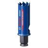 Dierovka Bosch EXPERT Tough 25 x 60 mm | ajtech.sk