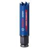 Dierovka Bosch EXPERT Tough 20 x 60 mm | ajtech.sk