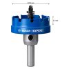 Bosch EXPERT Sheet Metal Dierovka do plechov 53x5 mm 2608901436 | ajtech.sk