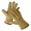 Rukavice PIGEON 10, kožené, pánske | ajtech.sk