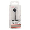 Bosch Vrták dekoračný s ostrím s tvrdo kovu 16 x 90mm stopka 8mm | ajtech.sk