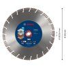 Diamantový kotúč Bosch EXPERT 350 x 20 / 25,4 mm | ajtech.sk