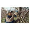 Aku záhradné nožnice Bosch Pro Pruner | ajtech.sk