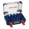Bosch 14-dielna sada dieroviek EXPERT Tough Material 2608900447 | ajtech.sk