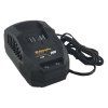 Nabíjačka Riwall PRO RAC 220 (20V) | ajtech.sk