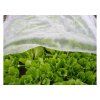 Netkaná textília Strend Pro Garden 2x10 m biela | ajtech.sk