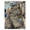 Fixačná kartónová striž ekologická 1kg | ajtech.sk