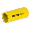 Vykružovacia píla Strend Pro BHS44 19 mm | ajtech.sk