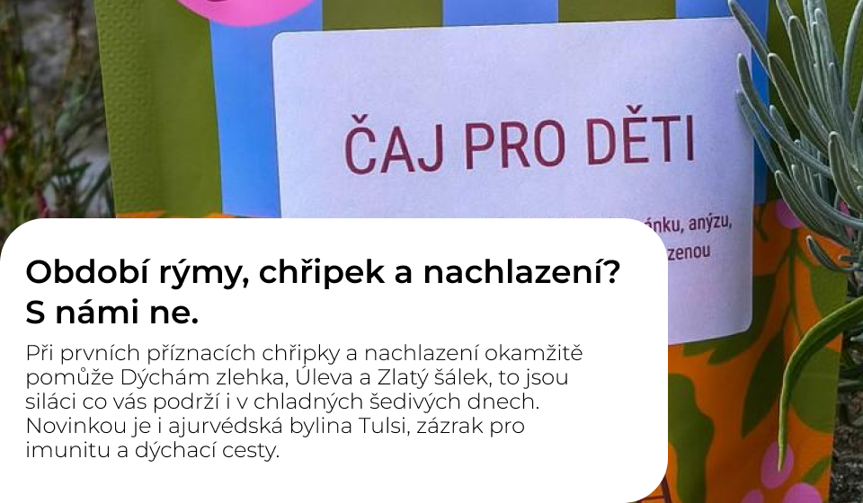 ajurvédské čaje
