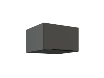 60 NAGU 36 1F ARIA GR ANT