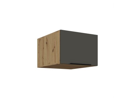 50 NAGU 36 1F ARIA GR AR