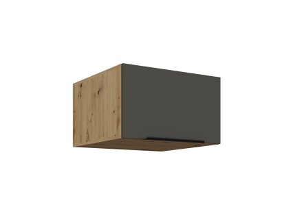 60 NAGU 36 1F ARIA GR AR