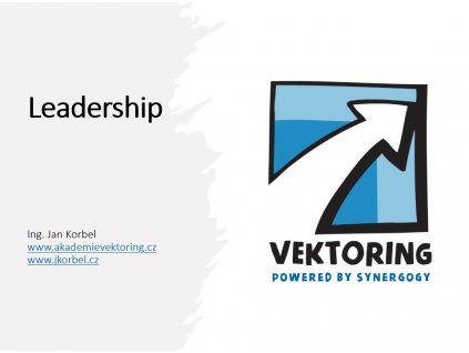 Leadership 1 slide jkorbel vektoring