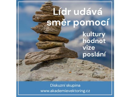 DS Lídr udává směr Shoptet