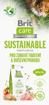 Brit Care
