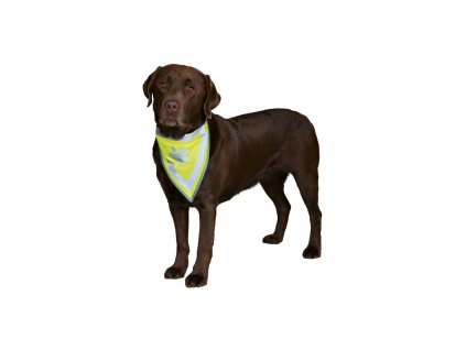 Reflexní šátek pro psa