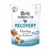 Brit Care Dog Functional Snack Recovery Herring 150 g