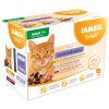 IAMS Delights Adult suchozemské maso v omáčce multipack 12x85g