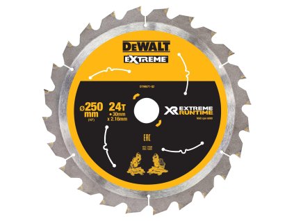 Kotúč pílový 250x30mm 24Z XR EXTREME® RUNTIME DEWALT DT99571