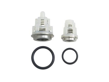 Set valves INTERPUMP KIT269