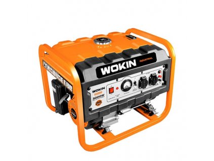 elektrocentrala wokin 230v 3000w