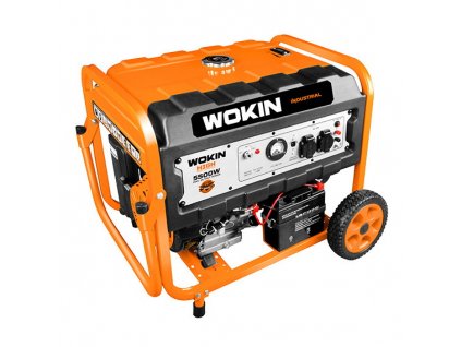 elektrocentrala wokin 230v 5500w