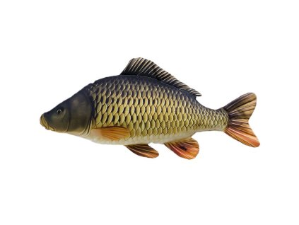 plys.kapr akcnidomov