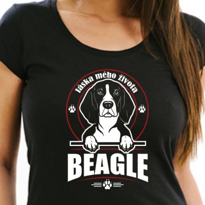 tricko striker beagle 1