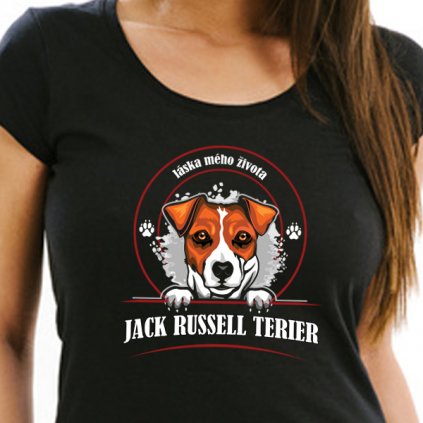 tricko jack russell terier 1