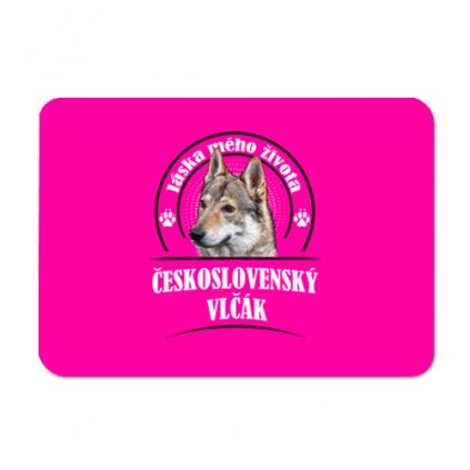 podlozka ceskoslovensky vlcak