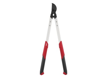 obrázek 2025 12 17 155958452