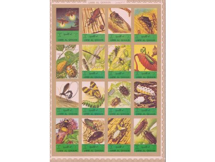 Umm Al Qiwain 1338 1353 B TL