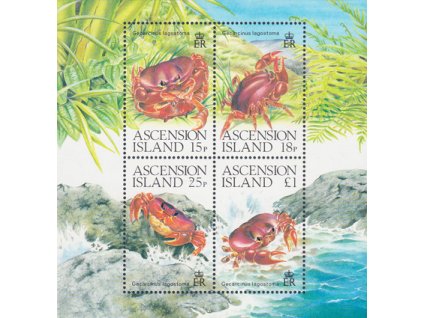 Ascension 0492 0495 Bl 18