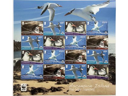 Ascension 1151 1154 PL