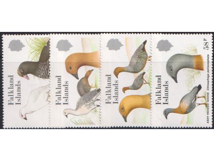 Falkland isl vtáky